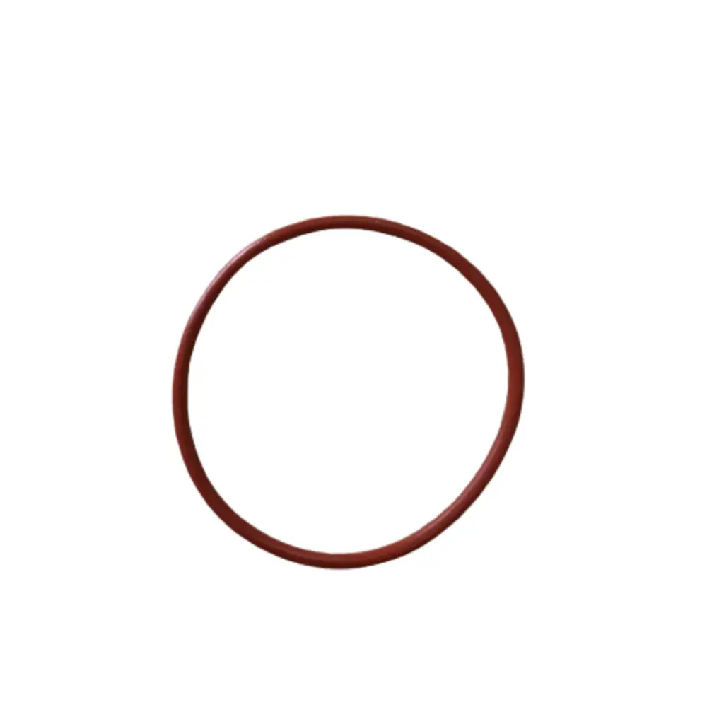 Cylinder to Valve Plate O Ring
