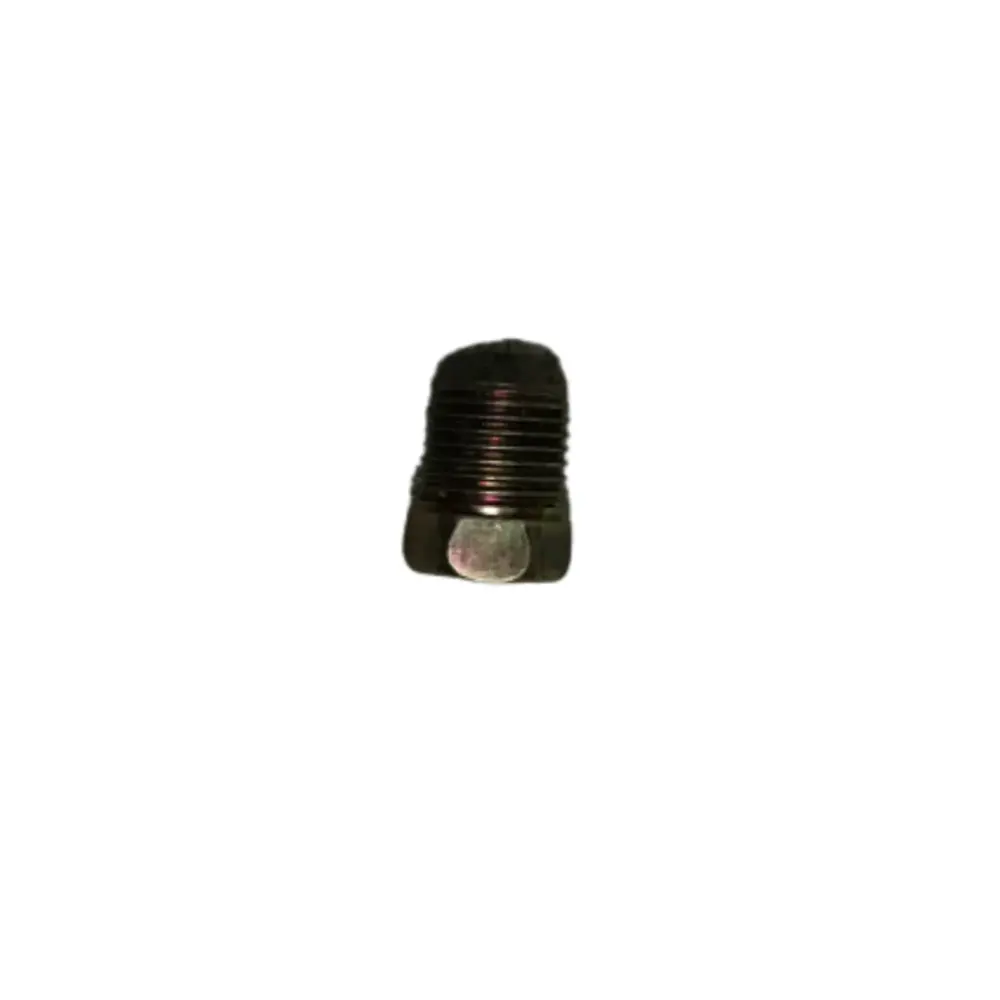 Oil Drain Plug