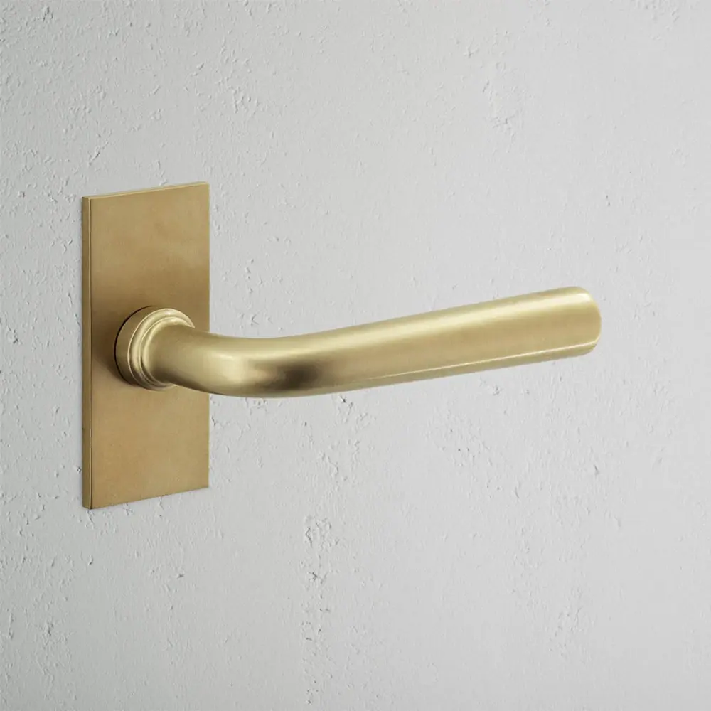 Apsley Petite Plate Fixed Door Handle - Antique Brass