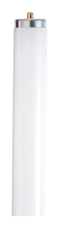 Satco 75 W T12 1.5 . D X 96 . L Fluorescent Bulb Daylight Linear 6500 K 1 pk Pack 15