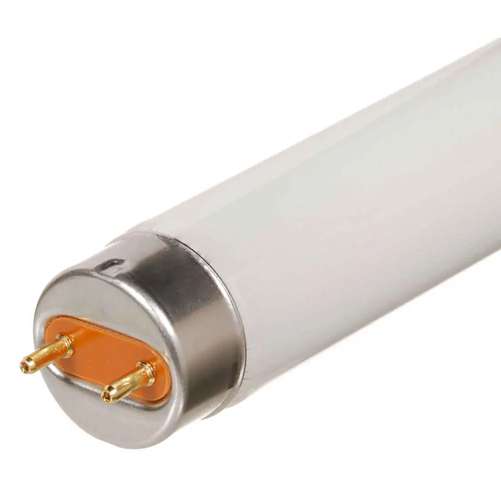 F25T8 Fluorescent Tube, 36"