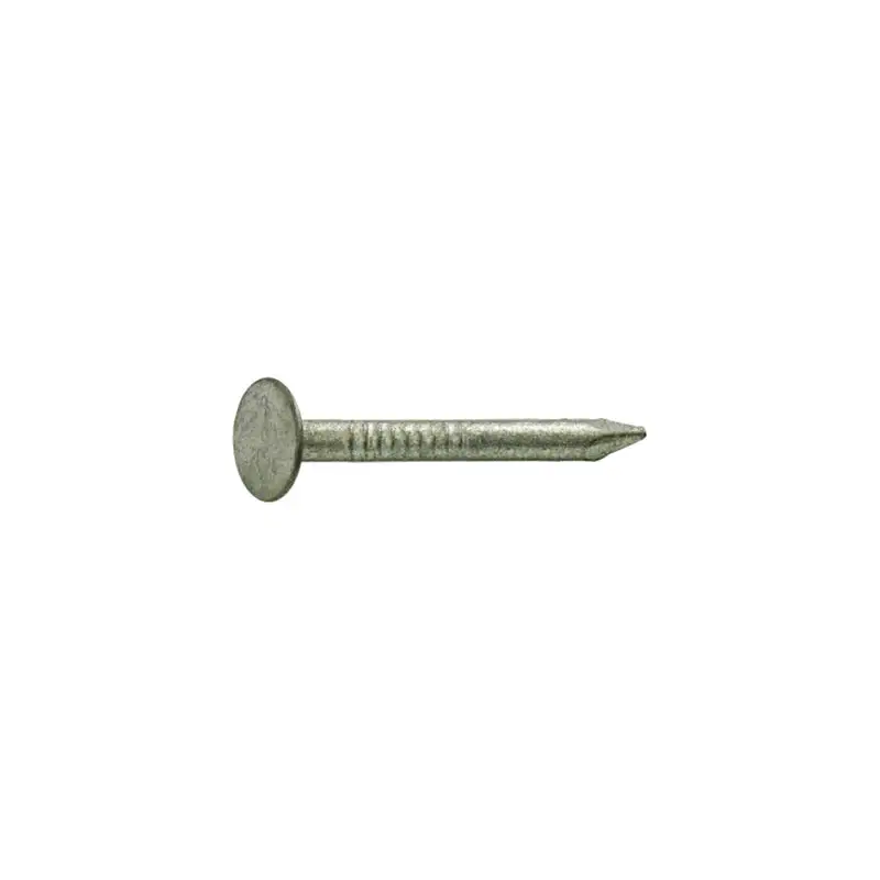 Grip-Rite 2-1/2 . Roofing Hot-Dipped Galvanized Steel Nail Round 1 lb. Pack 12