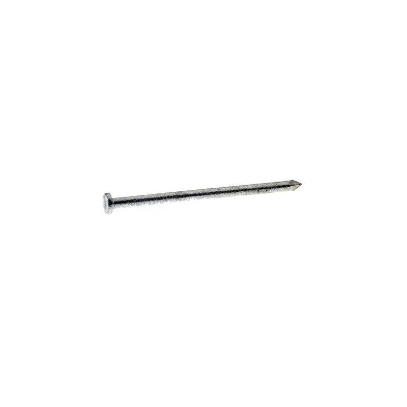 Grip-Rite 6D 2 Inch Hot-Dipped Galvanized Steel Nail Shank Round 5 lb Pack 6