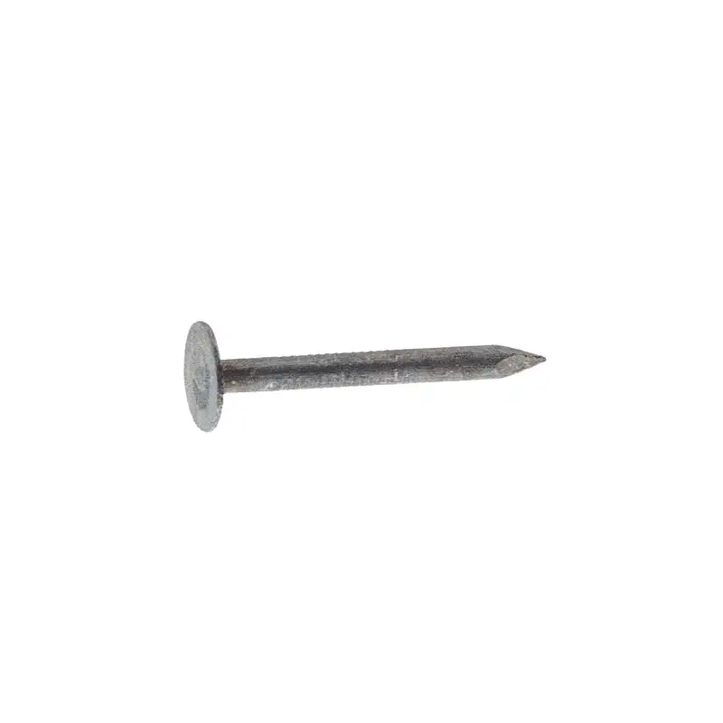 Grip-Rite 1 . Roofing Electro-Galvanized Steel Nail Flat 5 lb Pack 6