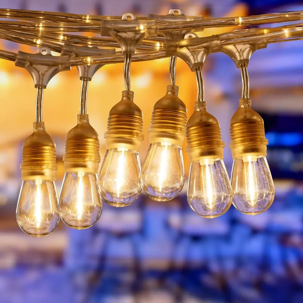 TwinkleTrail 48' LED Outdoor String Lights - Crystal Distinct 24 Sockets Bulbs Included