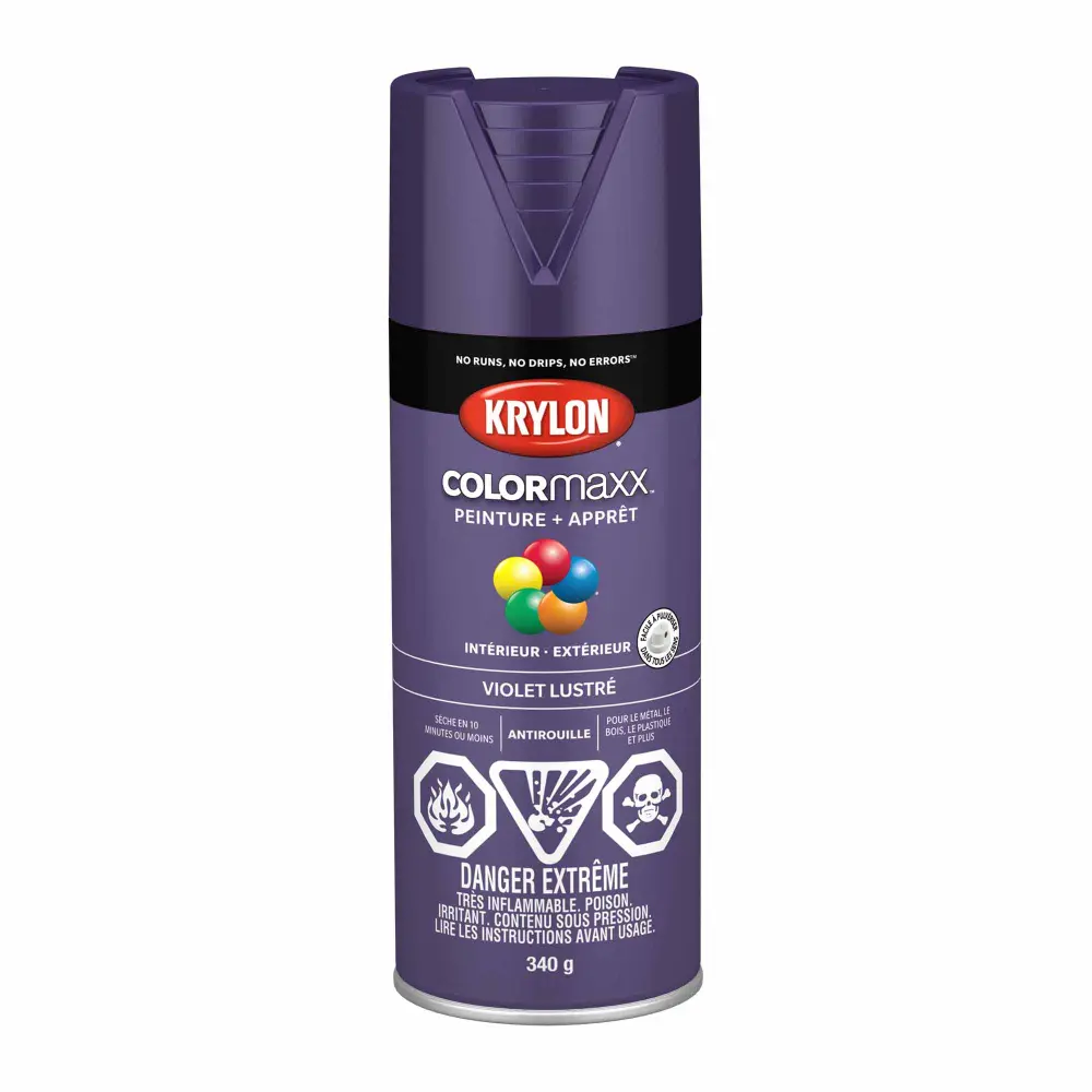 Krylon COLORMAXX Paint + Primer Gloss Mauve, 340 g