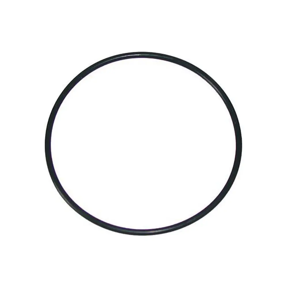 Threaded Brass Pump Trap Lid O-Ring