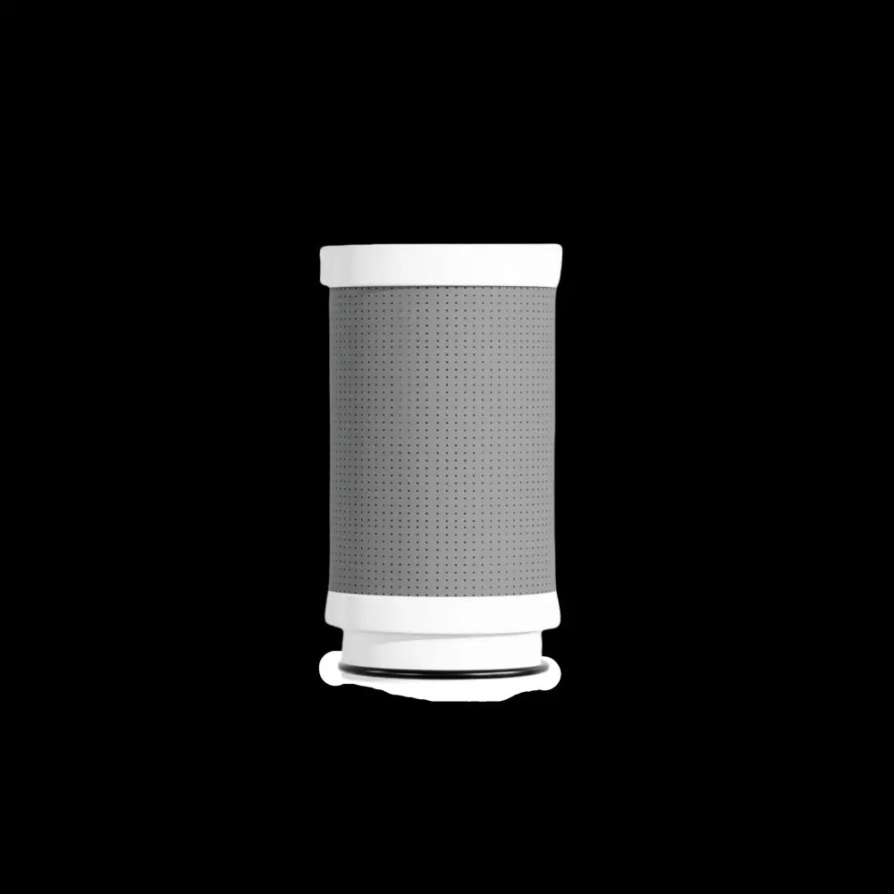 Frizzlife CF205290 Water Filter Sink Faucet Replacement Filter FS99, Pack 1