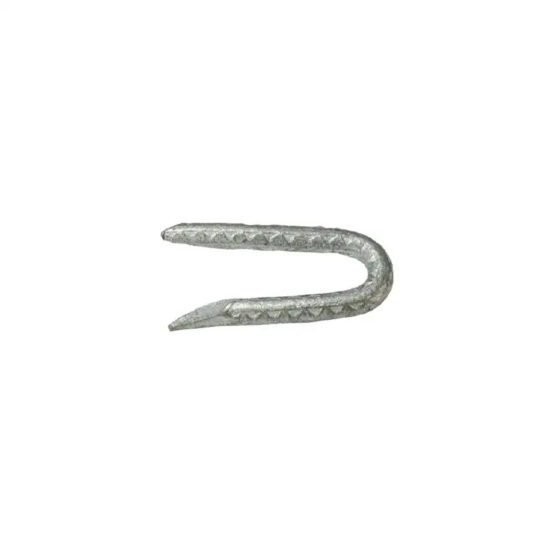 Grip-Rite 1/4 Inch x 1-3/4 Inch Hot-Dipped Galvanized Steel Fence Staples 50 lb Box