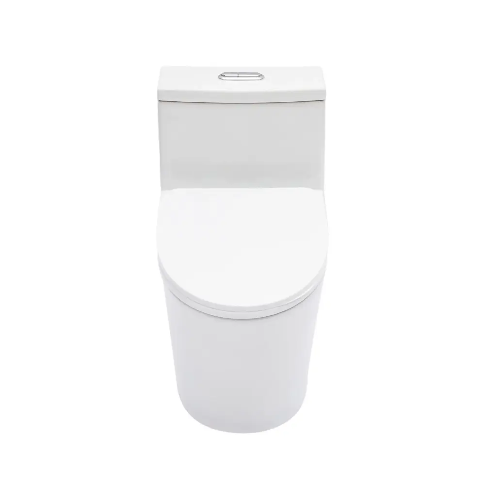 1 Piece Toilet Bathroom, Double Flush 1.24 / 1.43 Gpf, Soft Closing Seat - White
