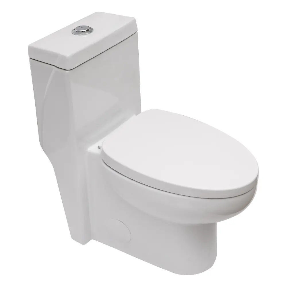 1 Piece Toilet Binary Flush And Soft Closing Seat - White