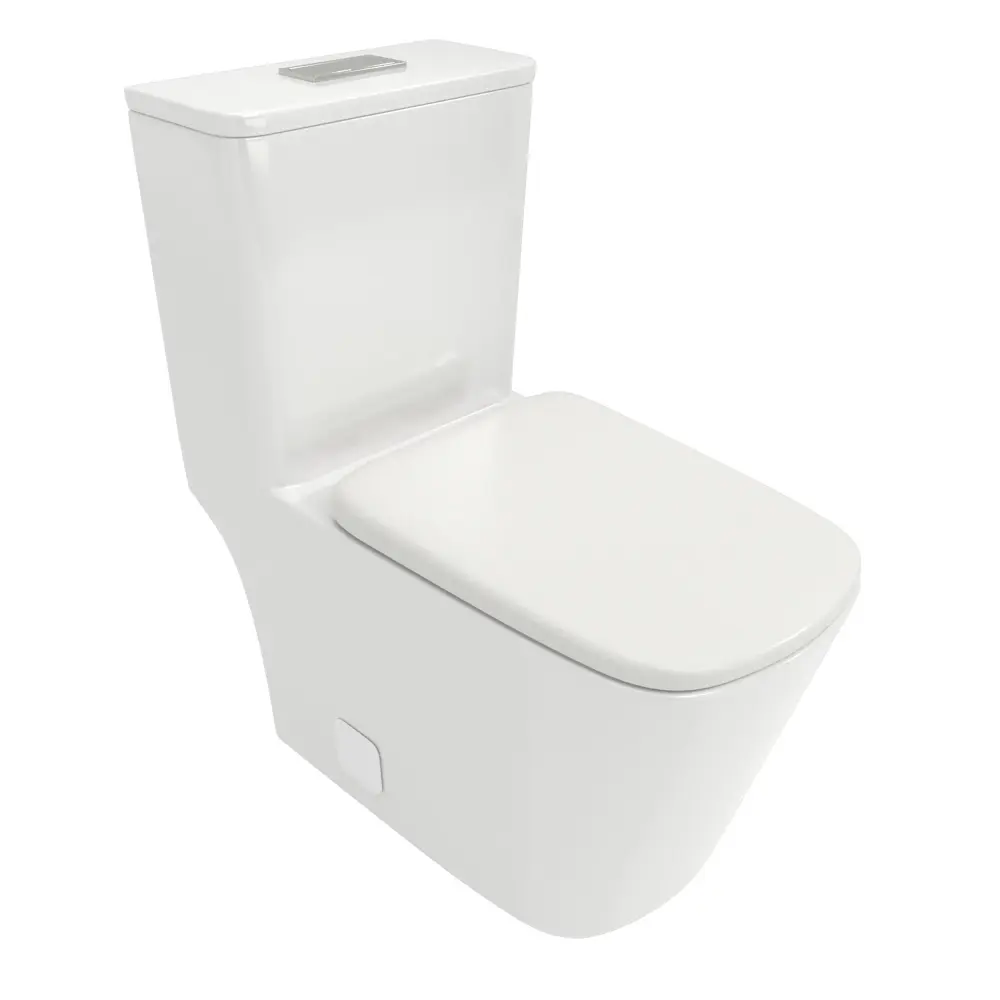 1 Piece Toilet & Double Flush And Soft Closing Seat - White