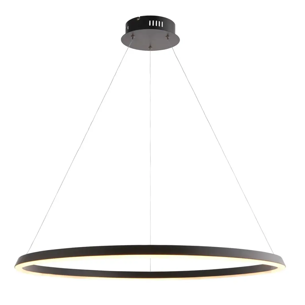 Staten Hanging Circle Pendant Portable - Black